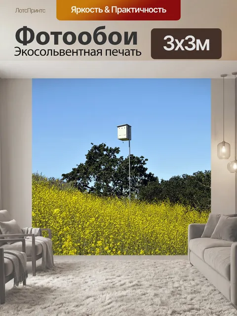 Фотообои Скворечник