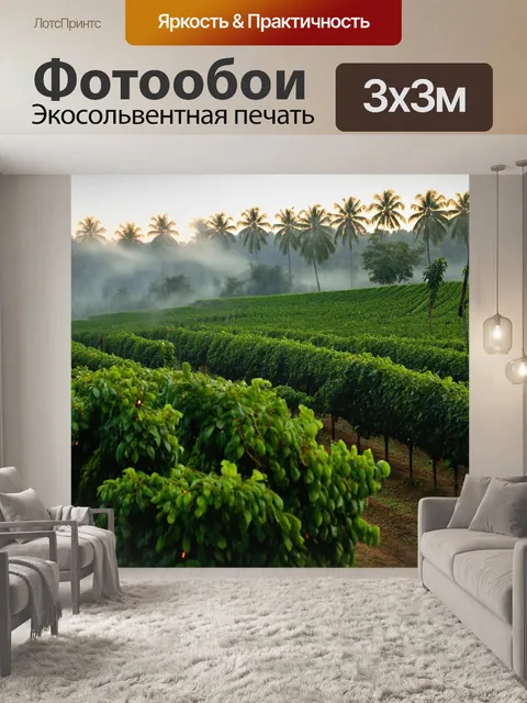 Фотообои тропики, утренний туман над плантацией кофе, зеленые кусты с кофейными зернами, факелы света вдалеке, звуки…
