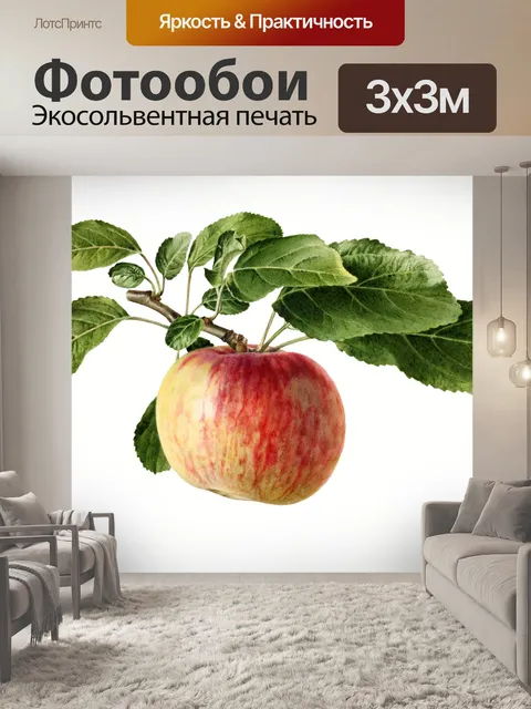 Фотообои Винтажные фруктовые иллюстрации