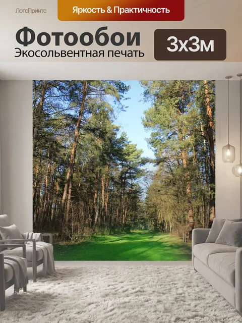 Фотообои Поляна