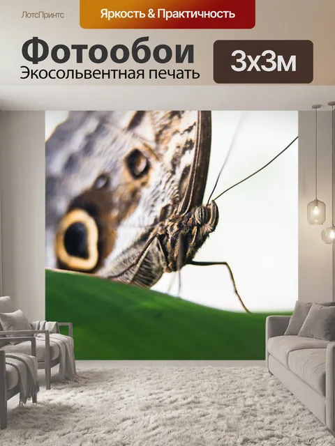 Фотообои Бабочка