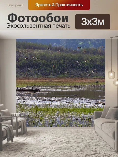 Фотообои Wetland Birds