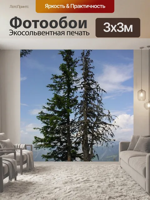 Фотообои Вымирание леса