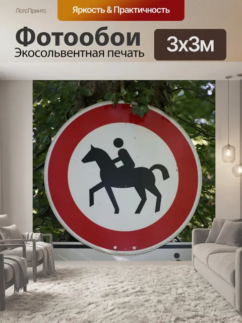 Фотообои Лошадь