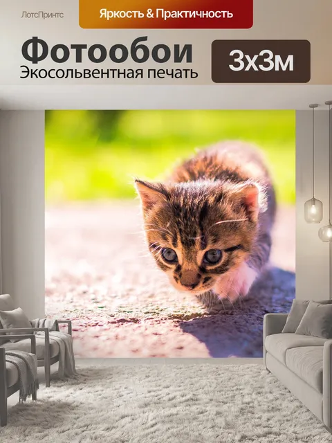Фотообои Кошка