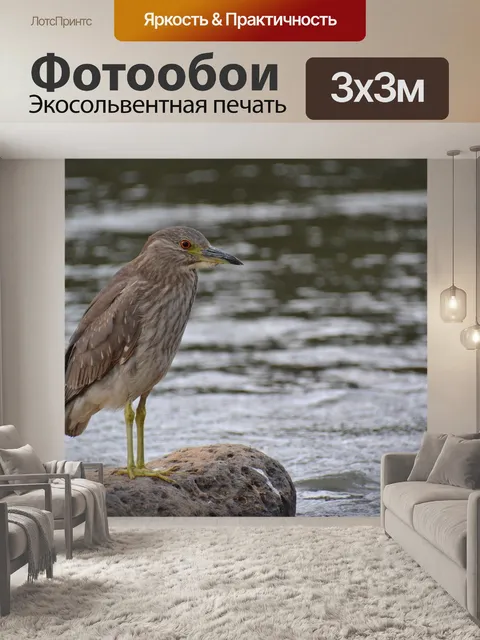 Фотообои Птичка