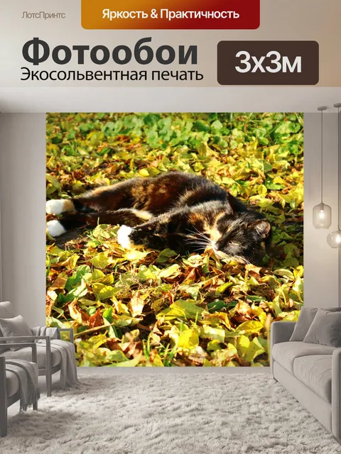 Фотообои Кот