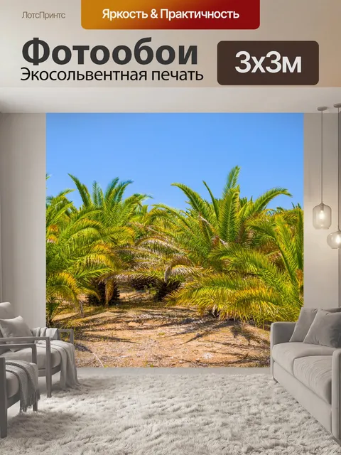 Фотообои Пальмы и голубое небо
