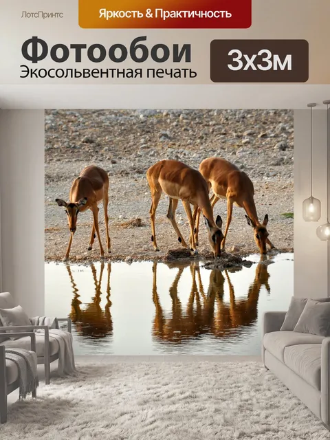 Фотообои Африке