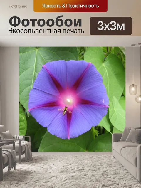 Фотообои Фиолетовый цветок