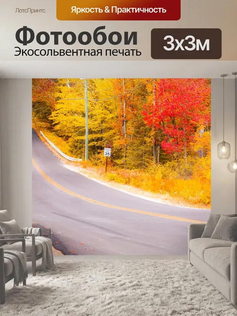 Фотообои Осенний лес с дорогой