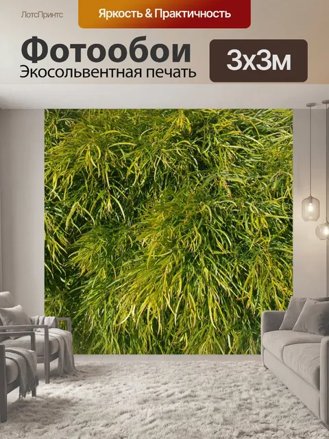 Фотообои Cognata акации