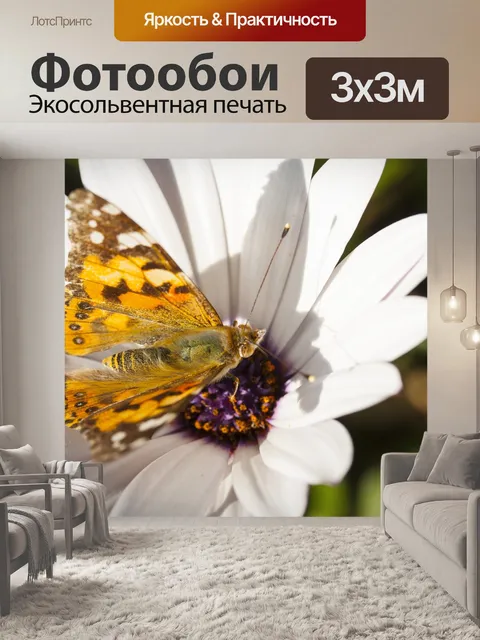 Фотообои Бабочка