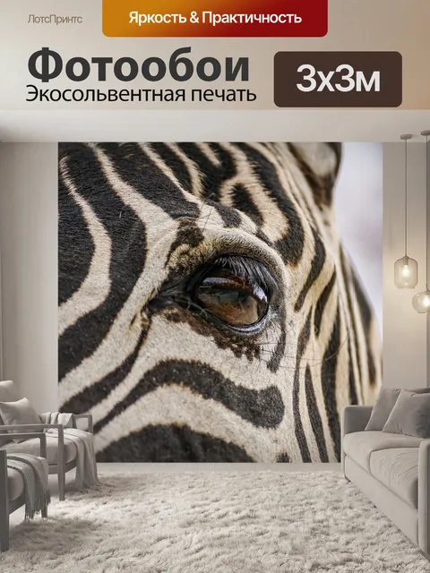 Фотообои Зебра