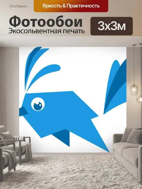 Фотообои Колибри
