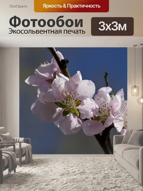 Фотообои Цветение персика