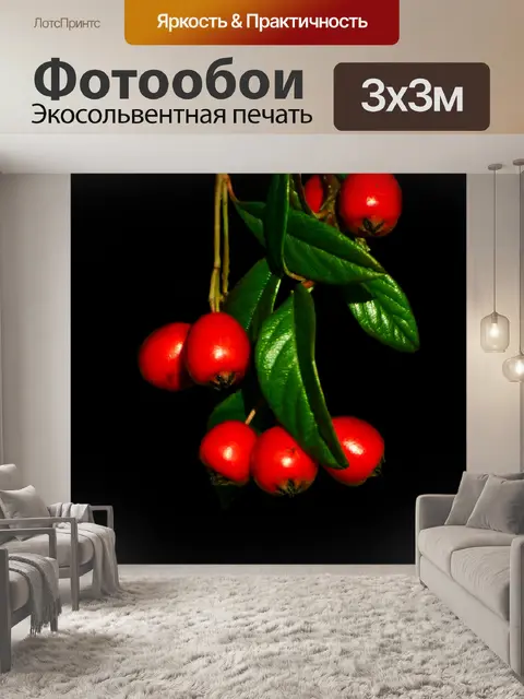 Фотообои Красные ягоды