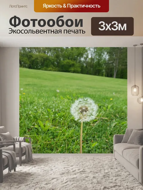 Фотообои Желание