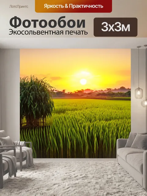 Фотообои китай: закат над полями риса