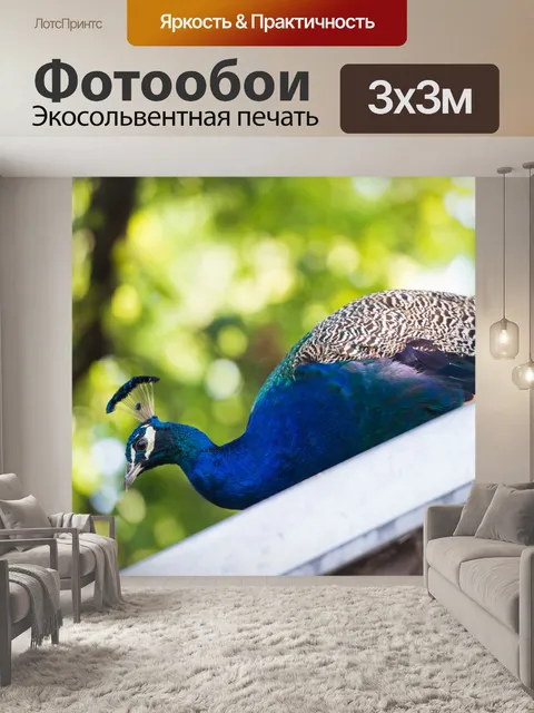 Фотообои Павлин