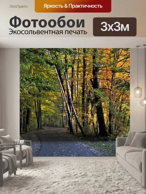Фотообои Листва Подкладка Прогулки Путь