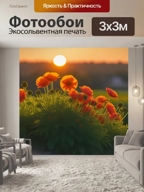 Фотообои цветы, расцветающие в лучах заката