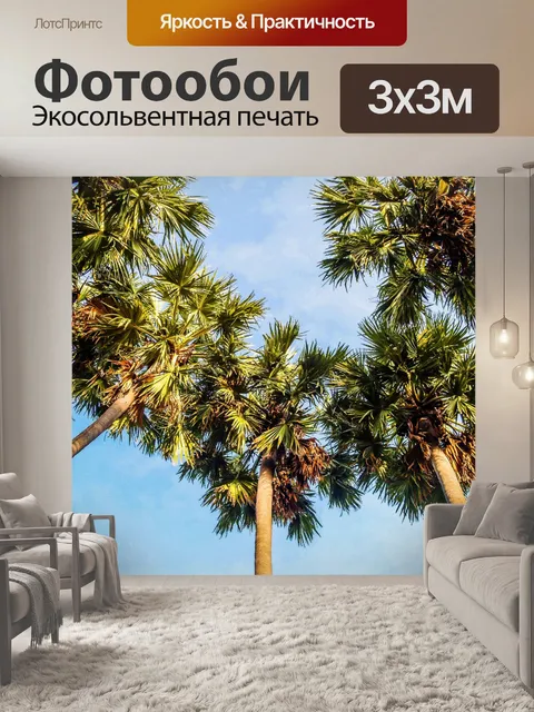 Фотообои Сахарная пальма