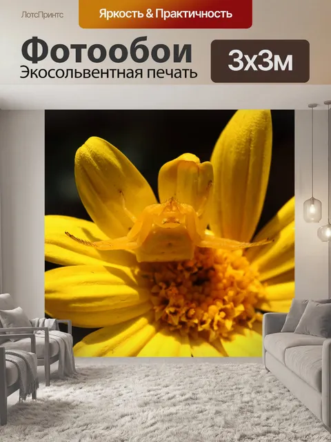 Фотообои Вид на желтый цветок крабового паука