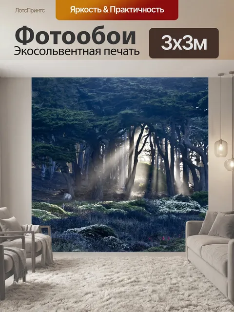 Фотообои Лучи Солнца через деревья