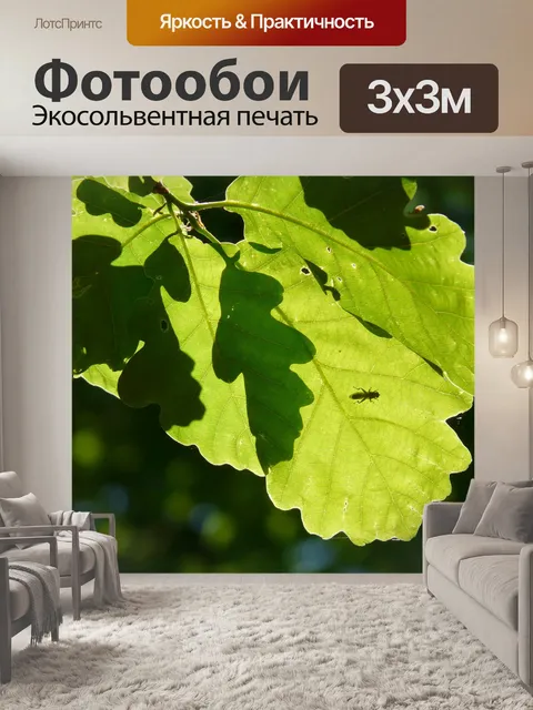 Фотообои Листья