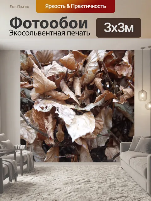 Фотообои Осень Browns 2