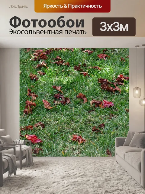 Фотообои Расцветает