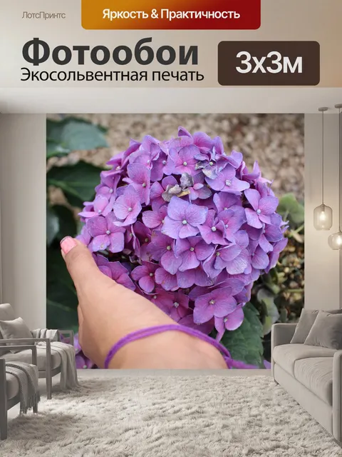 Фотообои Hydrangea macrophylla