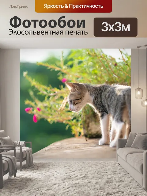 Фотообои Китти