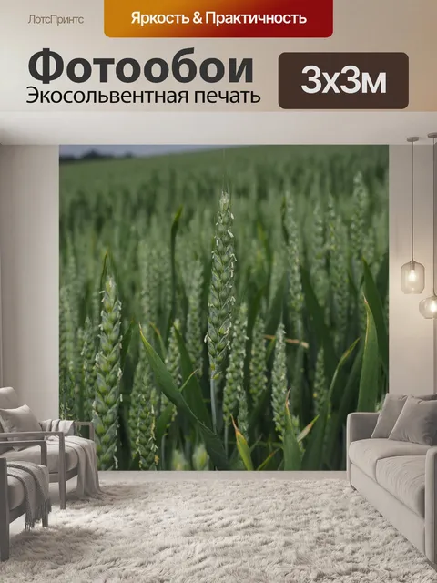 Фотообои Пшеничное поле