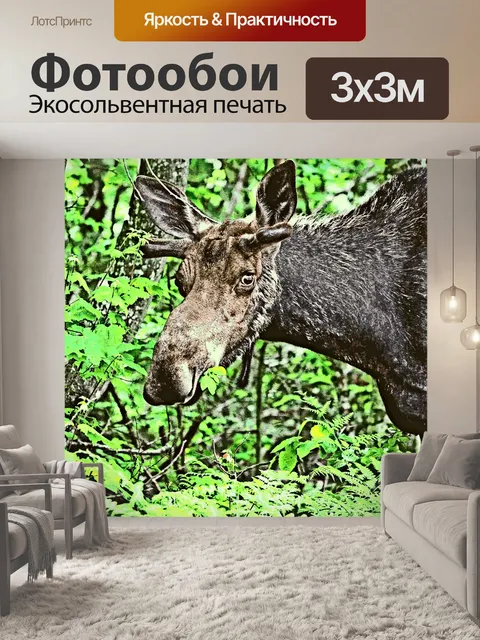 Фотообои Плакат с лосями