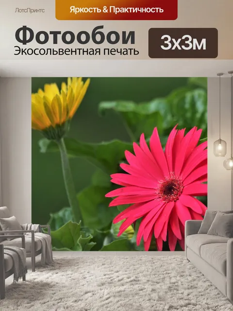 Фотообои Розовые и желтые ромашки-ромашки