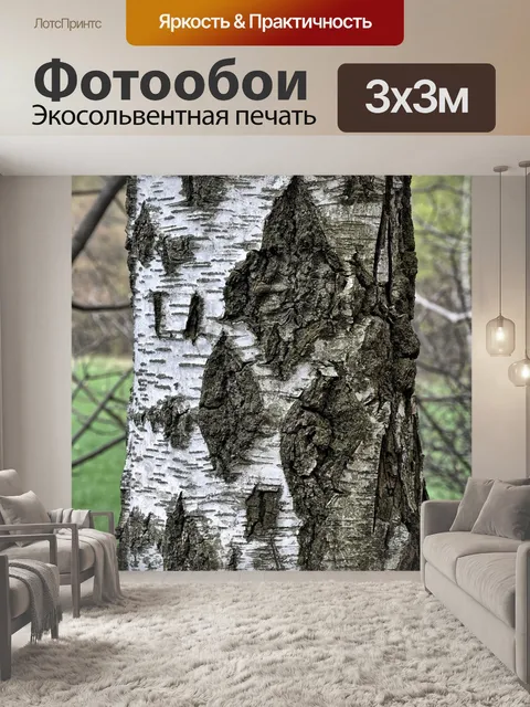 Фотообои Берёза