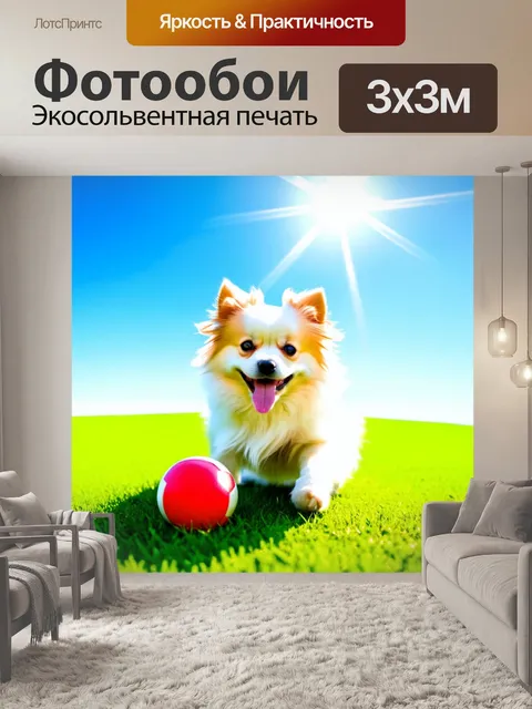 Фотообои изобразите карликового шпица, играющего с мячом на зелёном лужайке под ярким солнечным небом