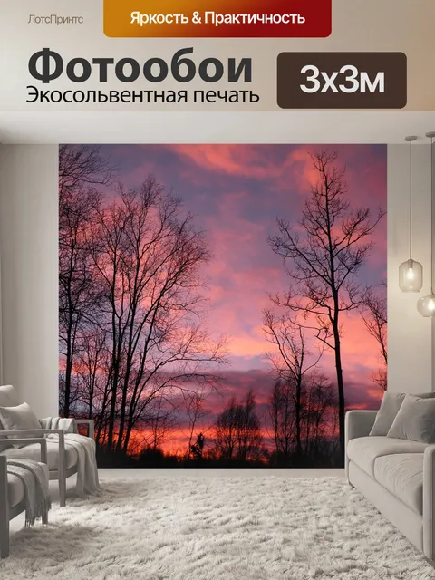 Фотообои Восход солнца