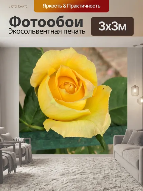 Фотообои Желтый бутон розы