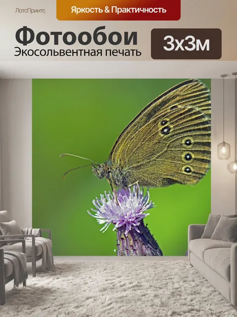 Фотообои Коричневая лесная птица