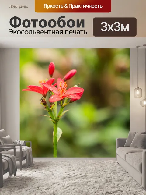 Фотообои Сад бабочек бенальмадена
