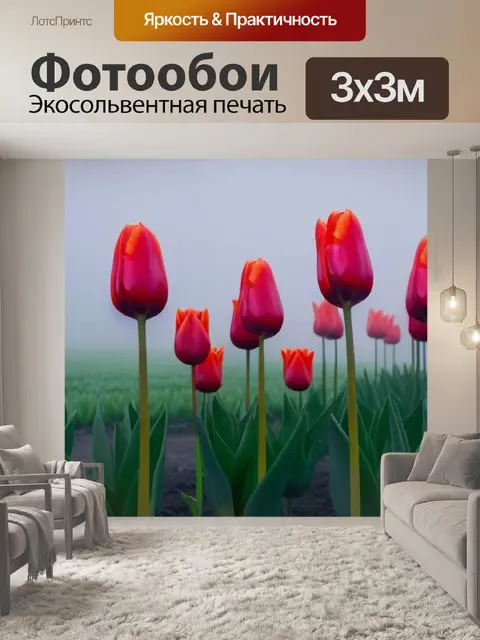 Фотообои загадочные тюльпаны в тумане