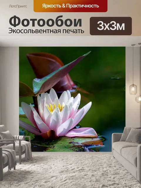 Фотообои Водяная лилия