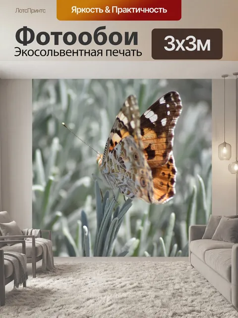 Фотообои Крапивница волчцы красавица-леди