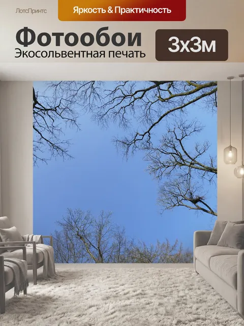 Фотообои Небеса