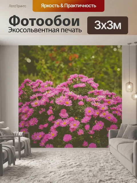 Фотообои Розовая хризантема