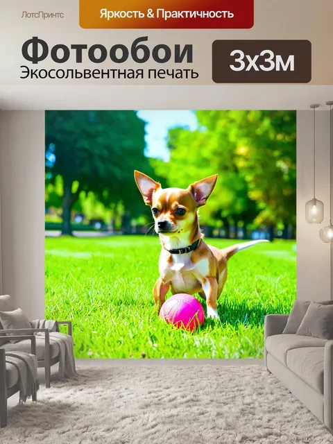 Фотообои чихуахуа в ярком летнем парке, играющий с мячом, солнечный день, зелёная трава, задний план деревьев