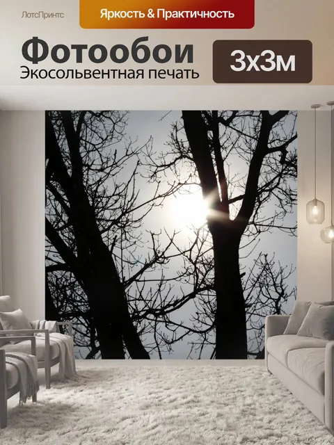Фотообои Солнце
